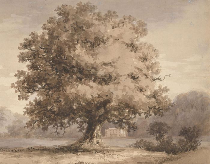 Margaret (Daisy) George - Mid 19th Century Watercolour, Tree in a Landscape