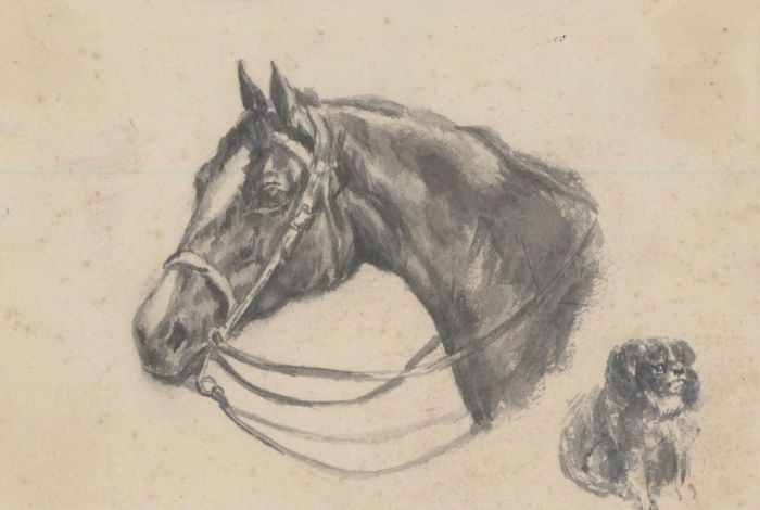 English School 19th Century Pen and Ink Drawing - Study of a Horse and Spaniel