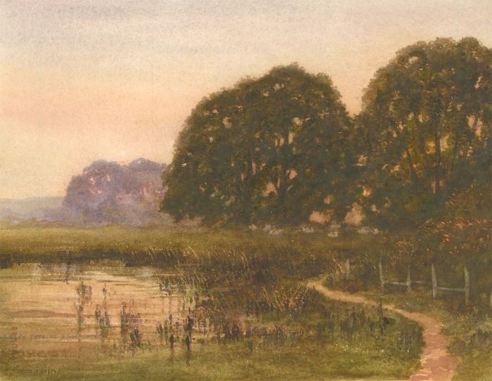 Fox - Signed Mid 20th Century Watercolour, Bewl Water, Sussex