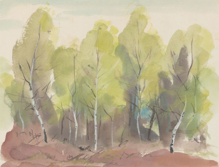 20th Century Watercolour - Silver Birch Trees