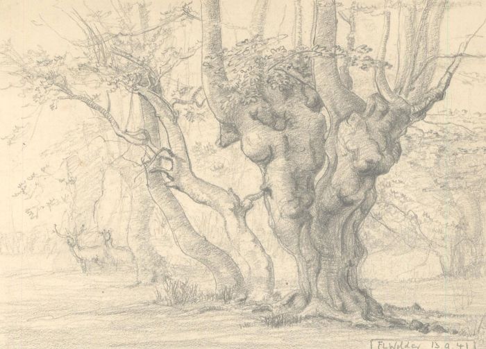 F.L Wilder - A Set of Four c. 1941 Graphite Drawings, Tree Studies