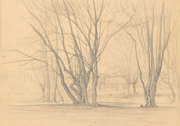 F.L Wilder - A Set of Four c. 1941 Graphite Drawings, Woodland Landscapes