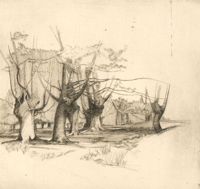 F.L Wilder - Two  c. 1941 Etchings, Woodland Tree Studies