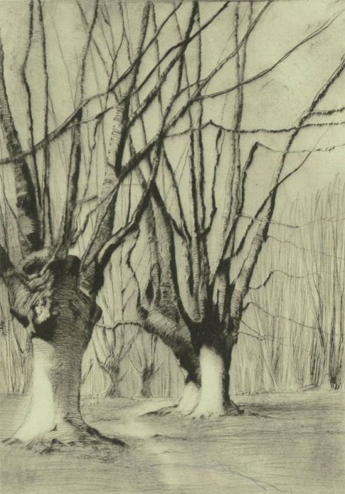 F.L Wilder - c. 1942 Etching, Tree Study