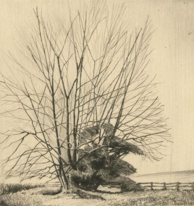 F.L Wilder - A Set of Four c. 1941 Etchings, Winter Tree Studies