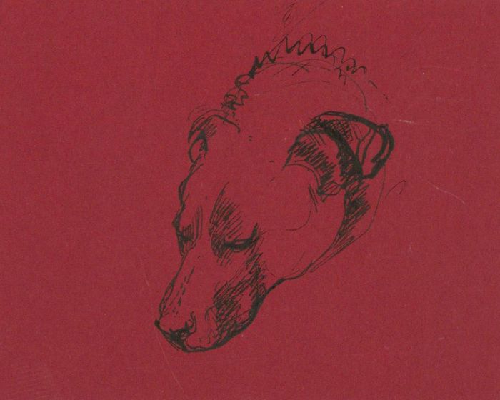Frances Watt - Mid 20th Century Pen and Ink Drawing, The Sleeping Dog