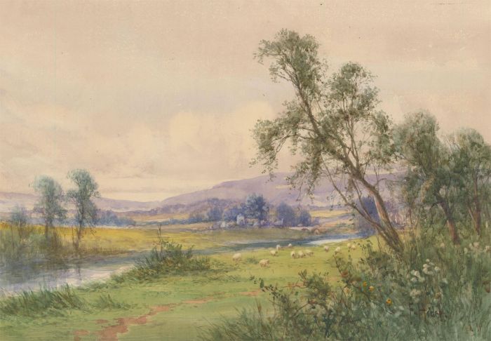 Frank Hider (1861-1933) - Late 19th Century Watercolour, Landscape with Sheep