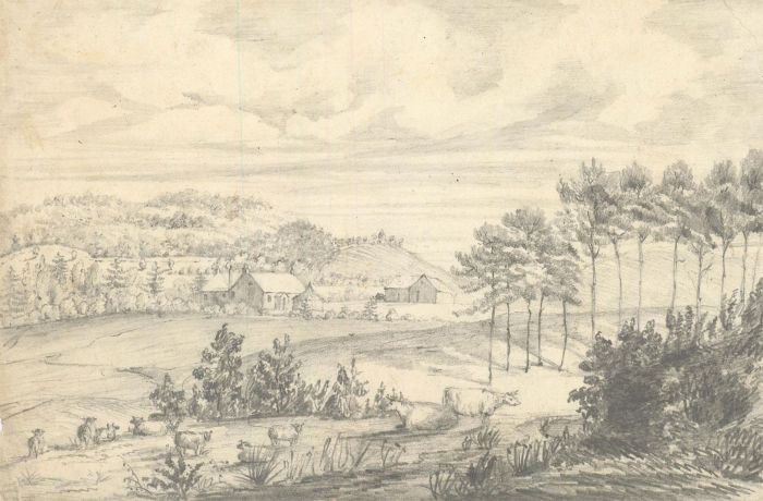 19th Century Graphite Drawing - Landscape with Cows