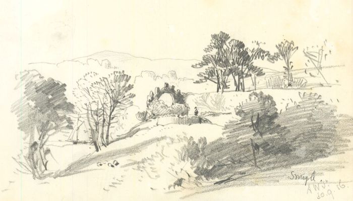Theodore Waterhouse - 1856 Graphite Drawing, Woodland landscape