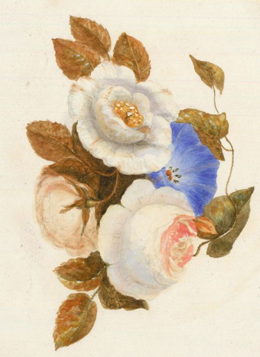 John Edmund Buckley (1820-1884) - Watercolour, Floral Still Life of Roses