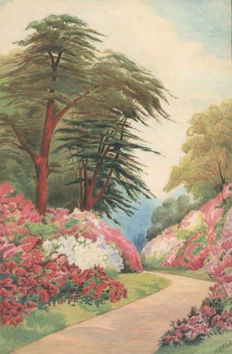 L.B. Whale - Signed Late 19th Century Gouache, Pink Garden