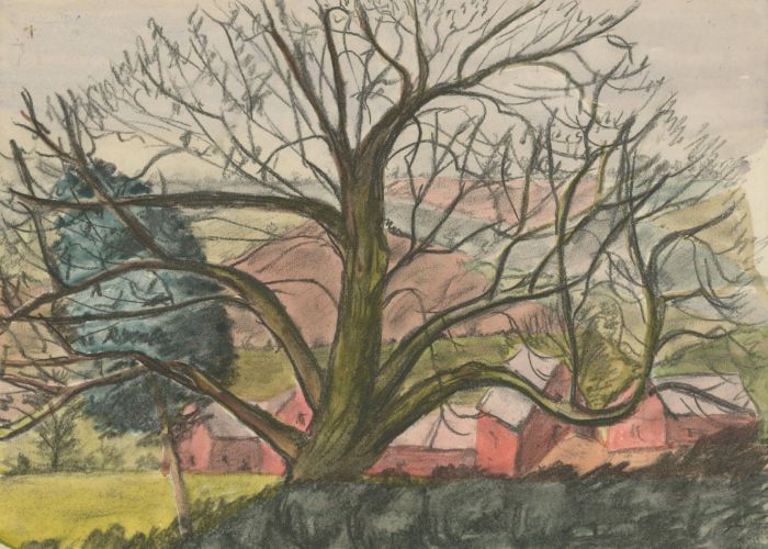Mary Pierce - Set of Three 20th Century Watercolours, Tree Studies