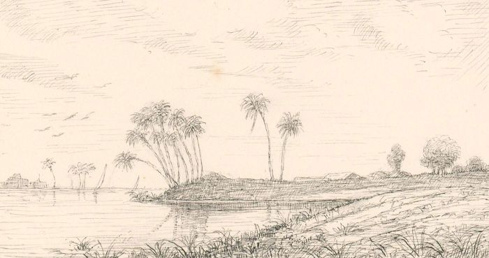 20th Century Pen and Ink Drawing - Tropical Landscape with Palm Trees