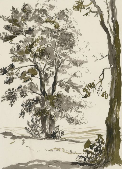 Audrey Reddy - Contemporary India Ink, Japanese Inspired Tree Study