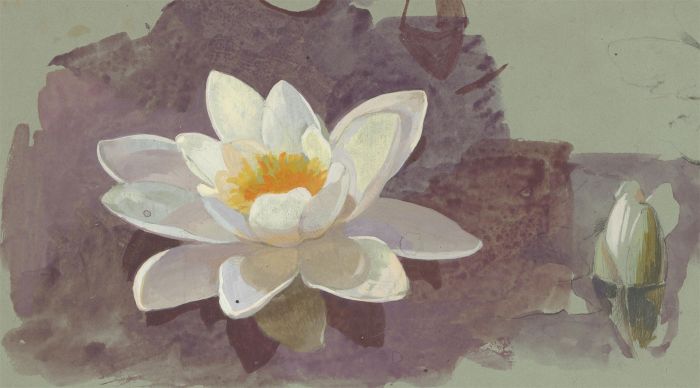 Alfred William Strutt (1856-1924) - Late 19th Century Gouache, Water Lilies