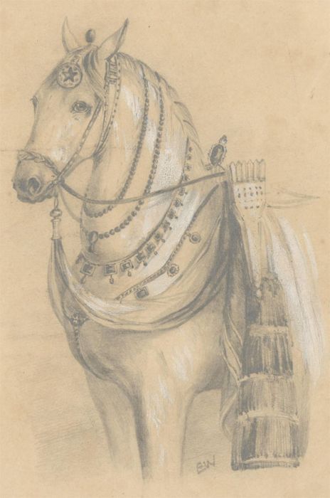 E.W - Late 19th Century Graphite Drawing, The Military Horse