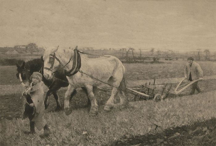Collection of Three Early 20th Century Etchings - The Art Journal