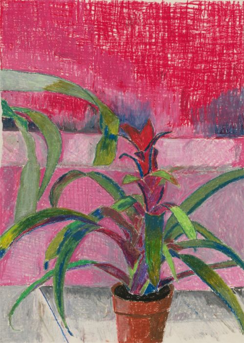Contemporary Pastel - Vibrant Study of a House Plant