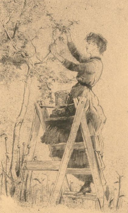 Late 19th Century Etching - Young Lady Picking Fruit