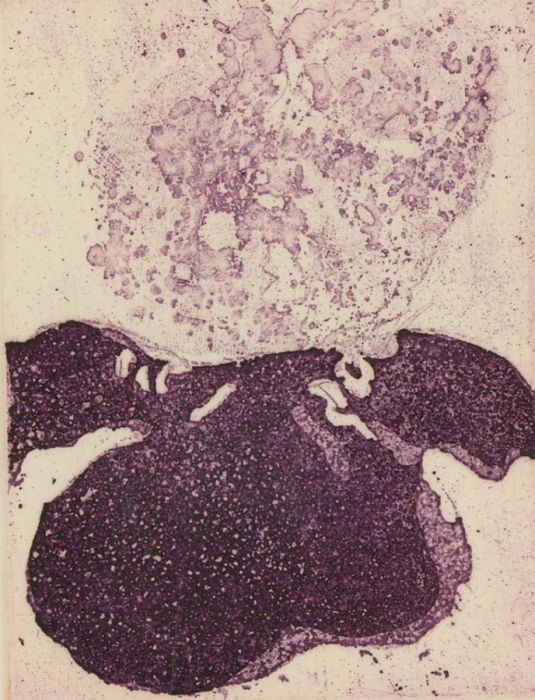20th Century Etching - Abstract Flower