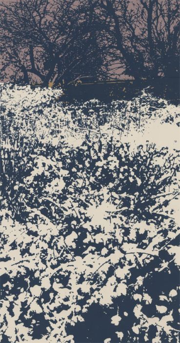 Norma Fryer - 20th Century Silkscreen, Overgrown Landscape