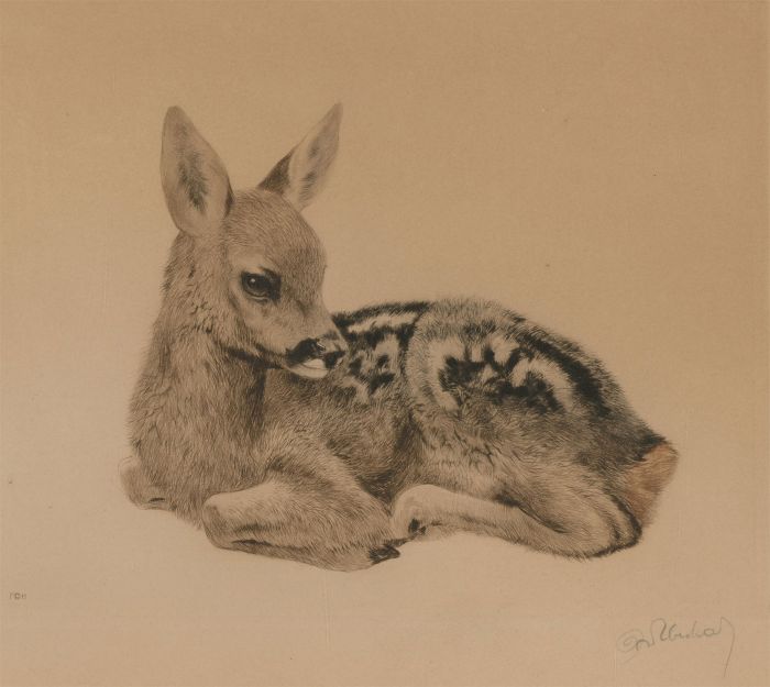 Kurt Meyer-Eberhardt (1895-1977) - 20th Century Etching, Study of a Fawn