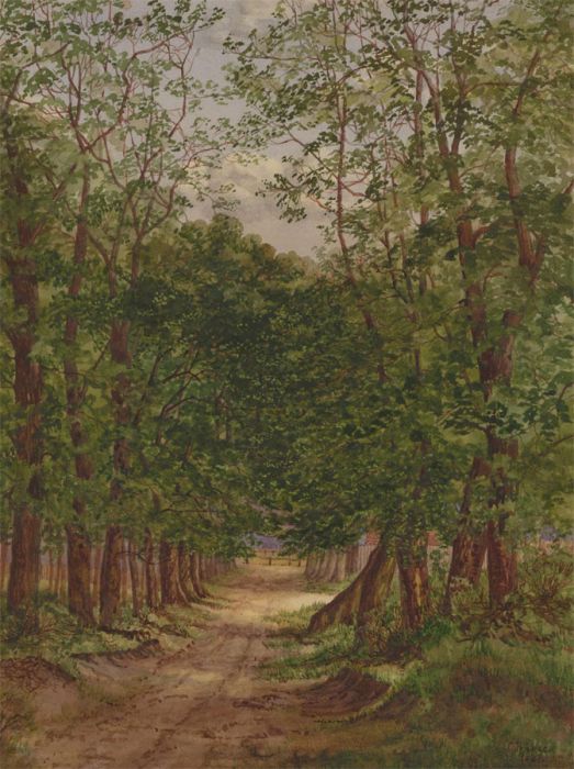 Christina Pearce - 1881 Watercolour, Tree Lined Path
