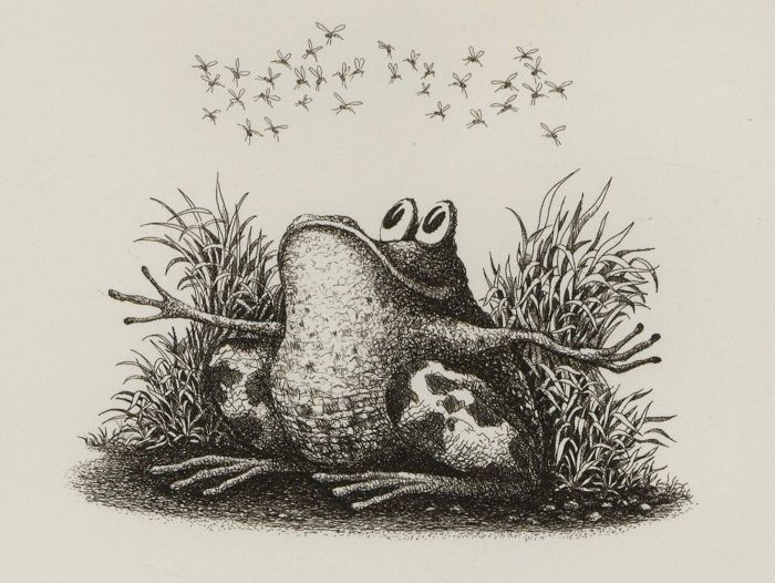Signed 2013 Etching - Frog with Flies