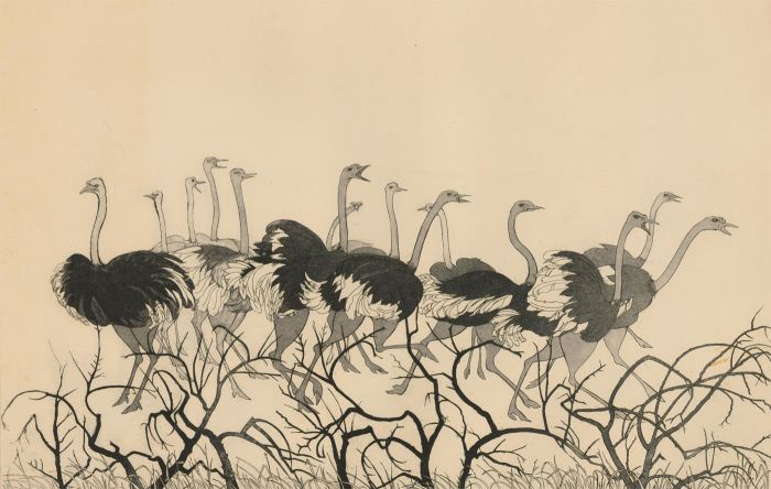 Hilda Bernstein (1915-2006)  - 20th Century Aquatint, Ostriches