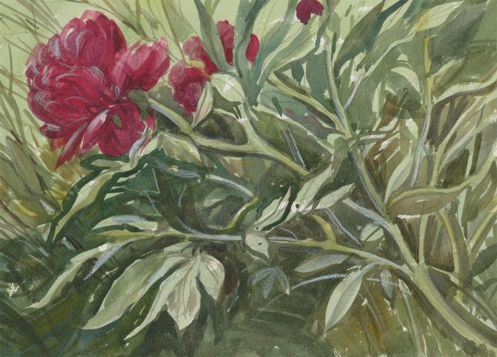 Clifford H. Thompson (1926-2017) - 2001 Watercolour, Study of a Flower