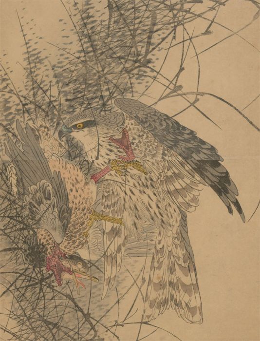 Lmao Keinen (1845-1924) - Japanese Woodblock, Falcon and Prey
