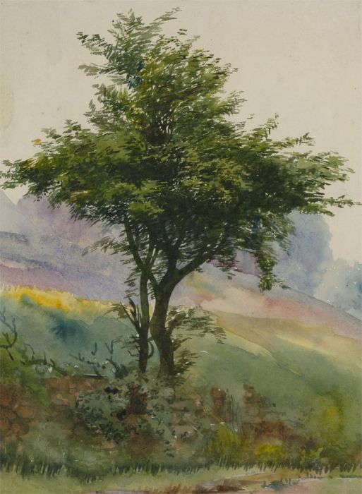Orlando Greenwood RBA (1892-1989) - Early 20th Century Watercolour, A Tree