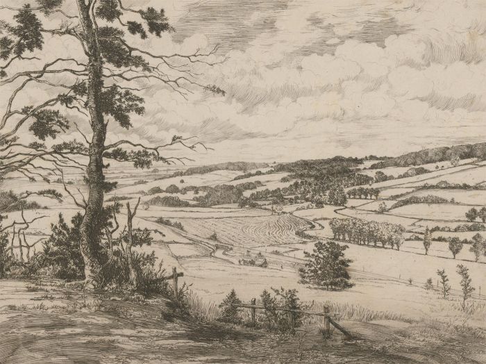 Early 20th Century Etching - Rural English Fields