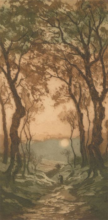 Mid 20th Century Etching - Moonlit Woods