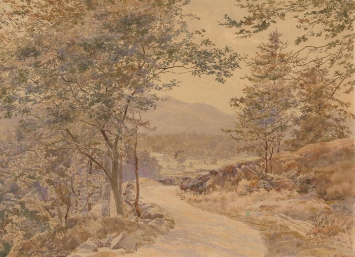 E. Capper - 1886 Watercolour, Forest Landscape