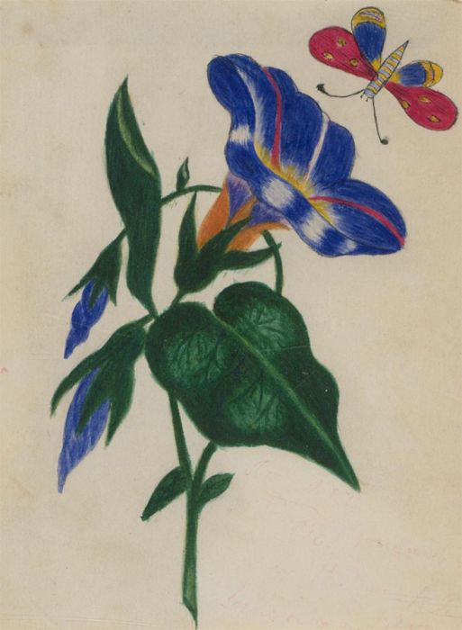 Set of Three Late 19th Century Watercolours - Botanical Studies
