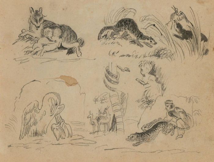 A Pair of Mid 19th Century Pen and Ink Drawings - Exotic Animal Studies