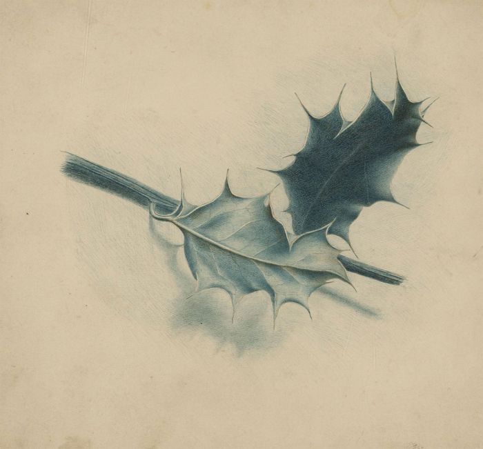 Late 19th Century Watercolour - Detailed Study of Holly Leaves