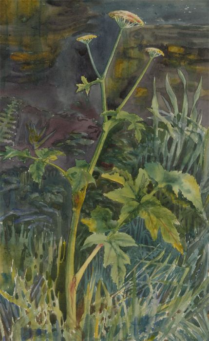 Orlando Greenwood RBA (1892-1989) - Early 20th Century Watercolour, River Flower