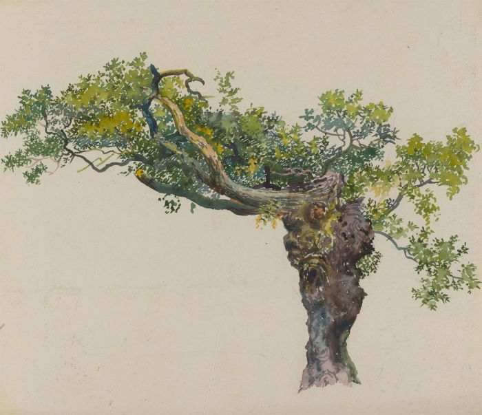Orlando Greenwood RBA (1892-1989) - Early 20th Century Watercolour, Tree Study