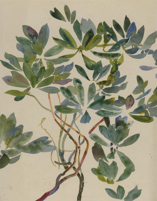 Orlando Greenwood RBA (1892-1989) - Early 20th Century Watercolour, Tree Branch