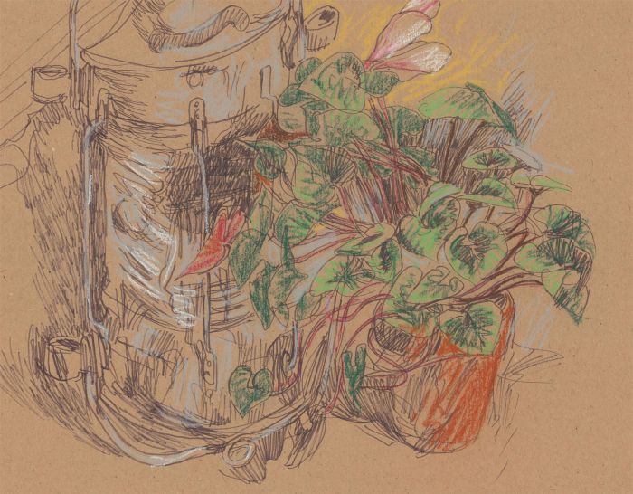 A. Mendes - Mid 20th Century Pen and Ink Drawing, Still Life, Potted Plant