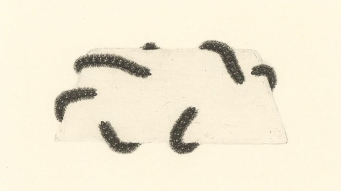 Ulla Fries - 1983 Etching, Future Butterflies