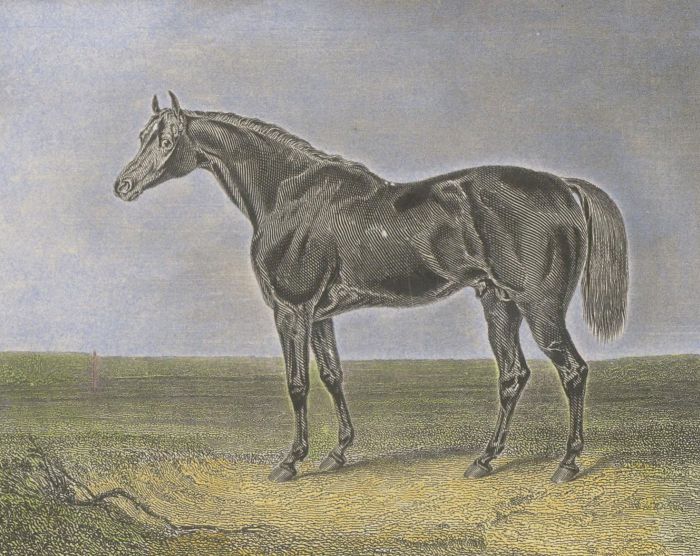 The Book of Sports, British & Foreign - Four 1843 Engravings, Race Horses