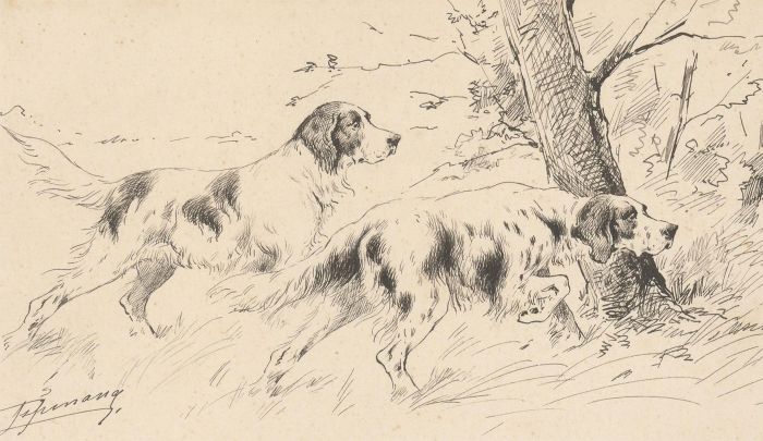 Early 19th Century Pen and Ink Drawing - English Pointer Dogs