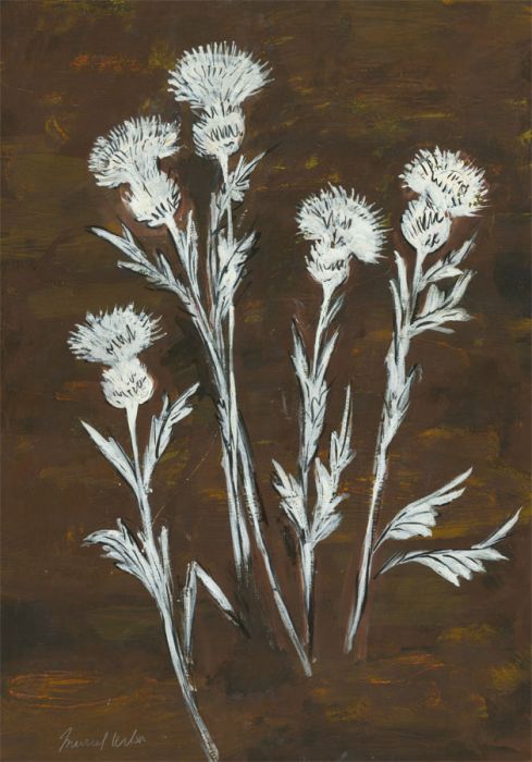 Muriel G. Wilson (1893-1977) - Mid 20th Century Acrylic, White Thistles