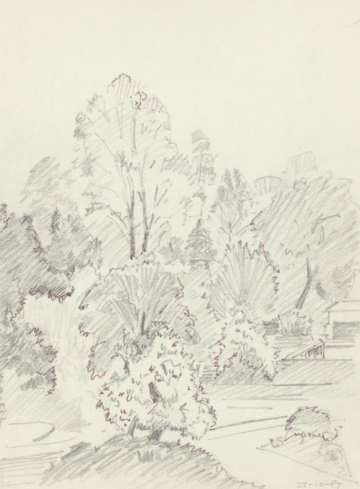 Arthur Mitson - 1987 Graphite Drawing, Tree Studies
