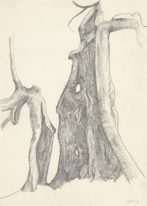 Arthur Mitson - Set of Four 1989 Graphite Drawings, Tree Roots