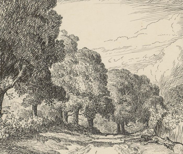 Montague M. Webb (fl.1935-1975) - 1946 Pen and Ink Drawing, Wooded Lane