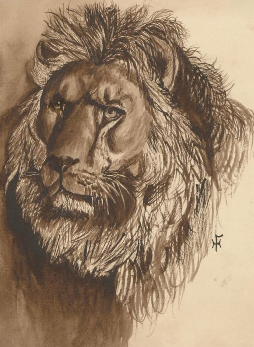 Early 20th Century Pen and Ink Drawing - Study of a Lion